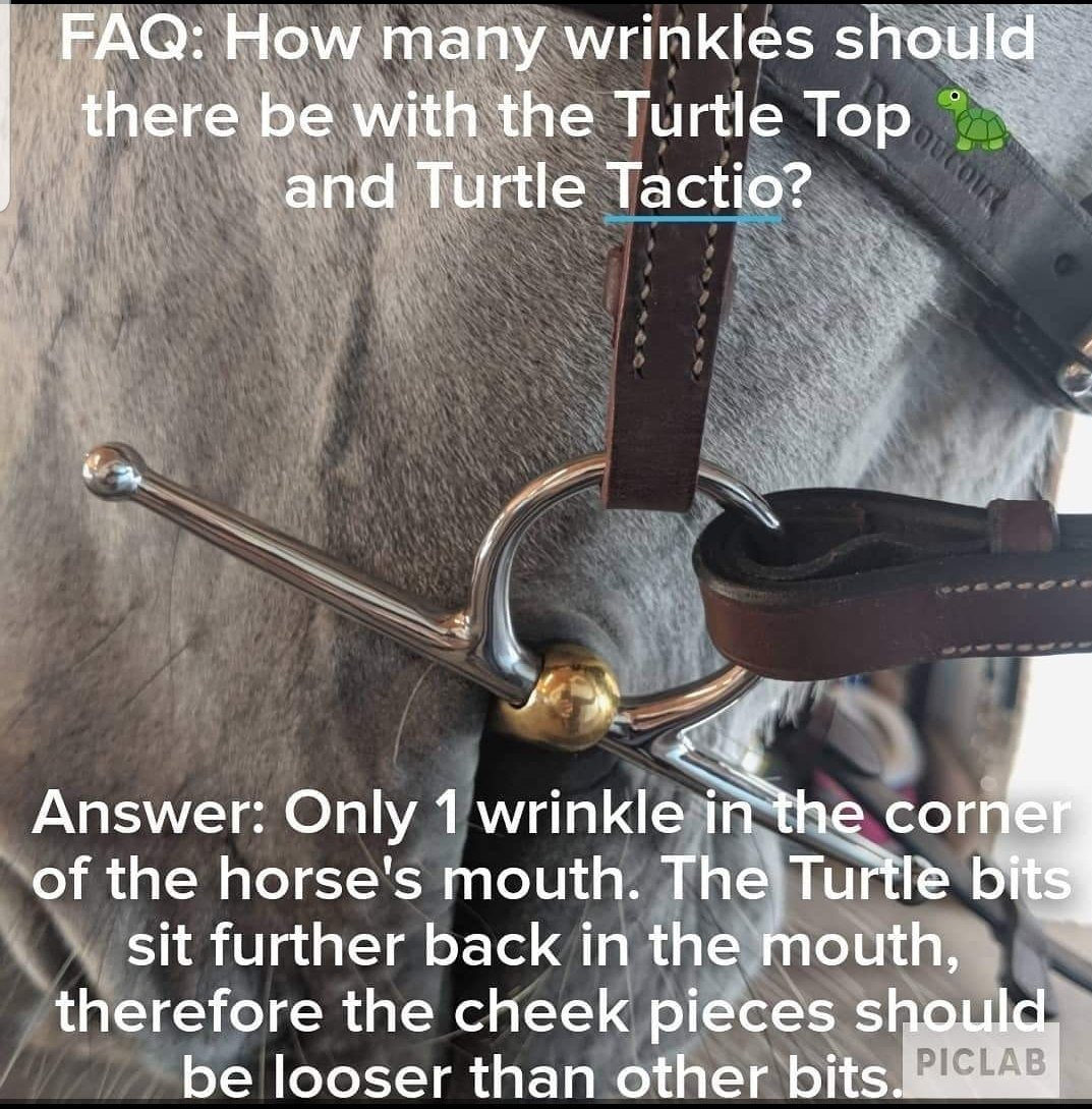 Neue Schule Turtle Tactio Beval bit - Robyn's Tack Room
