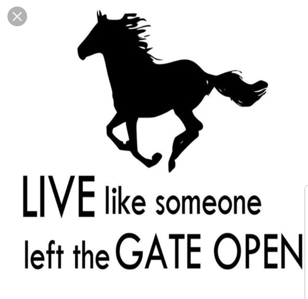 Vinyl PVC sticker wall art 'live like someone left the door open' - Robyn's Tack Room