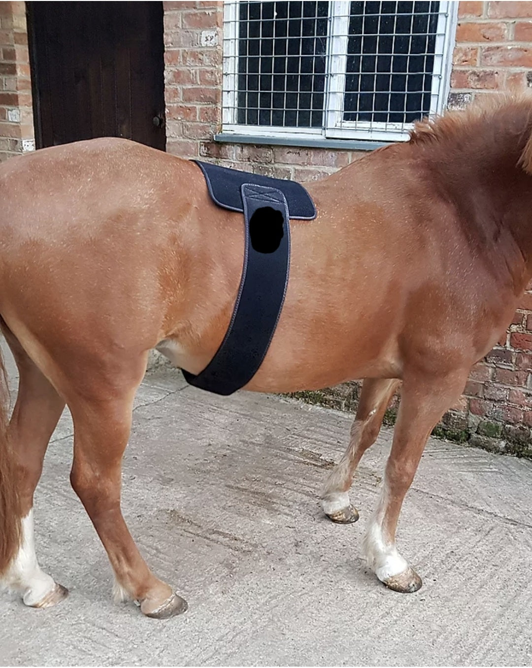 Equine Therapy Systems Infrared Leg / Back / Neck Wrap (medium)