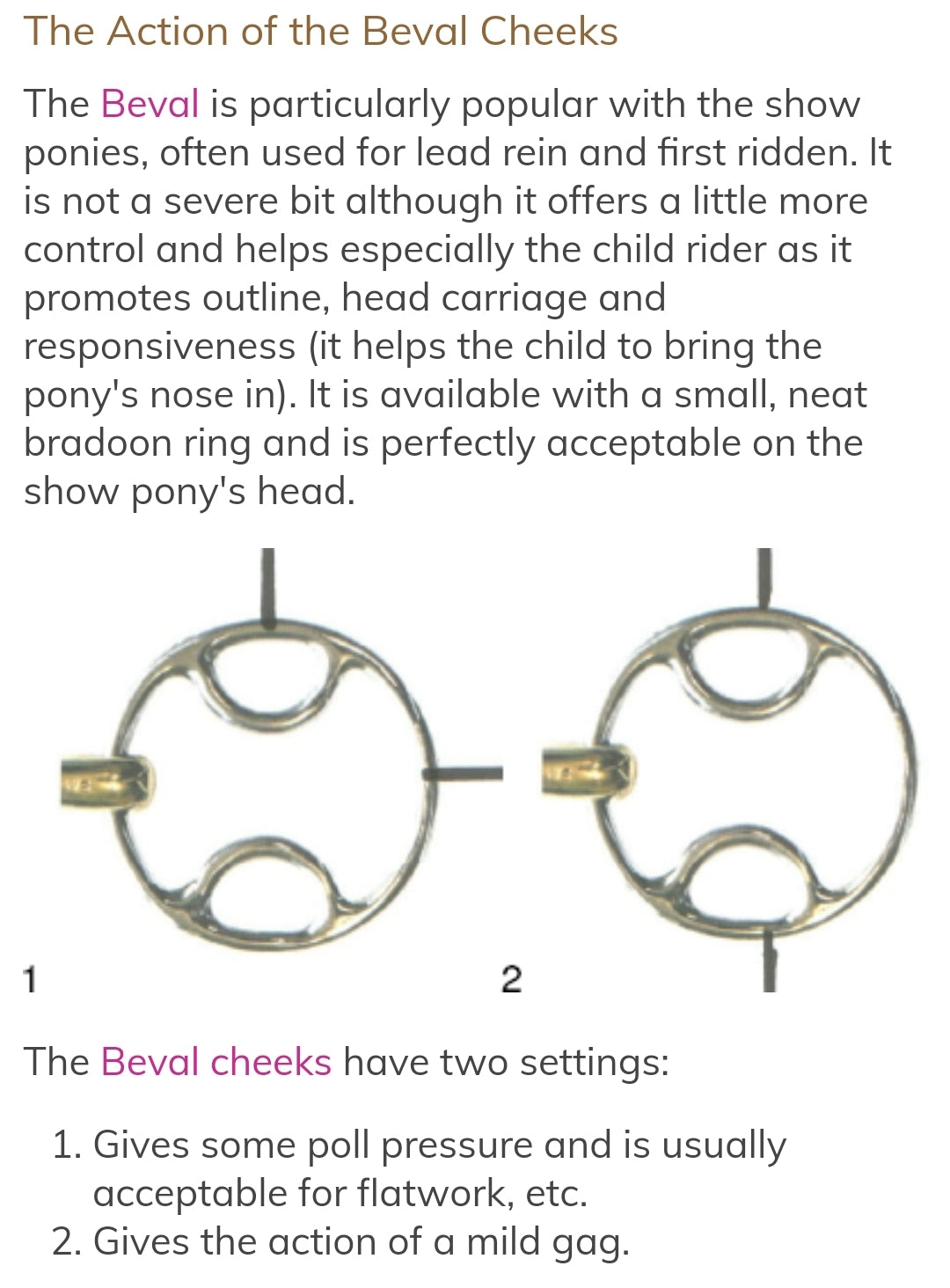 Neue Schule Tranz Angled Lozenge Beval bit