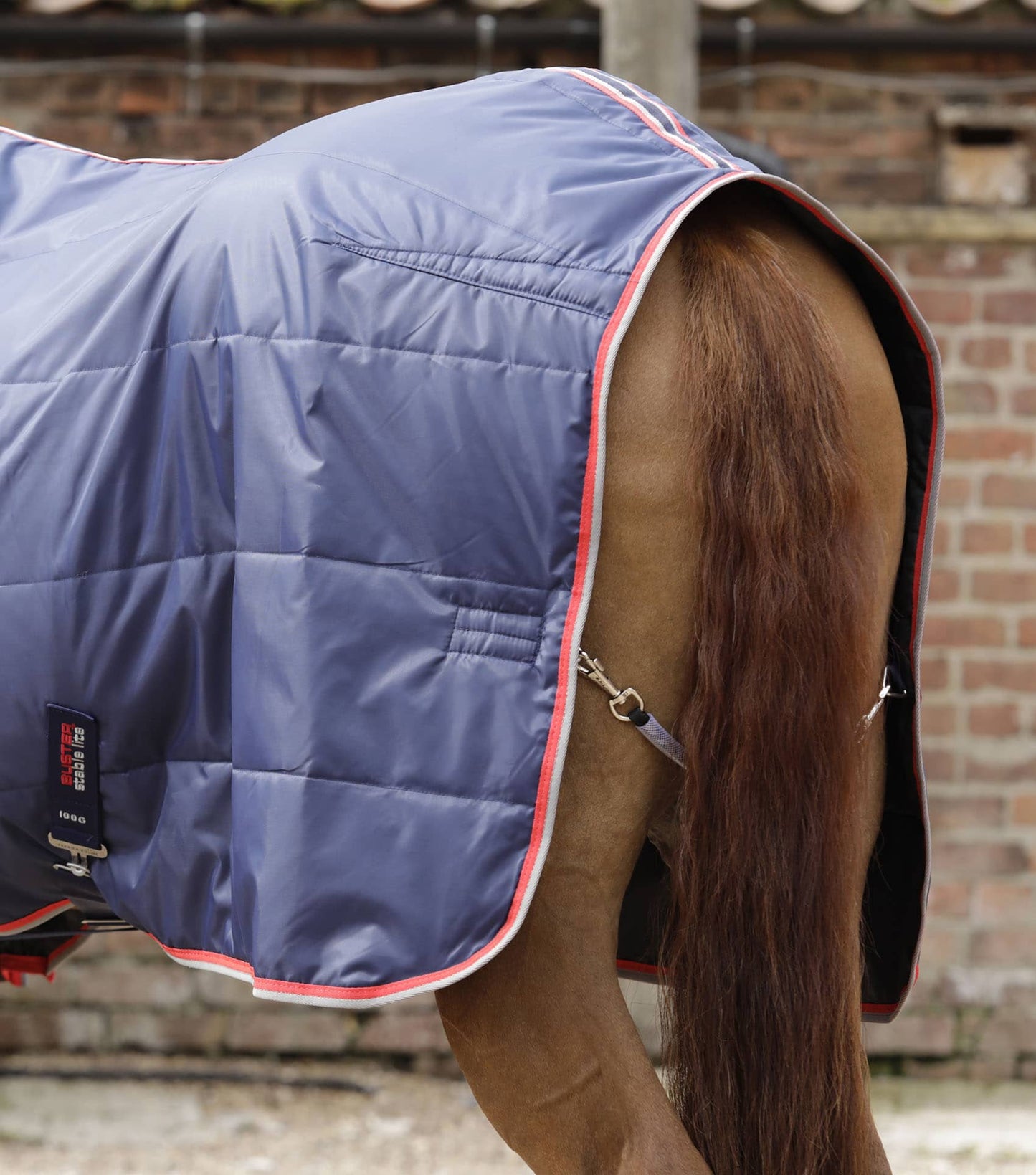 Premier Equine Stable Buster Lite 100g