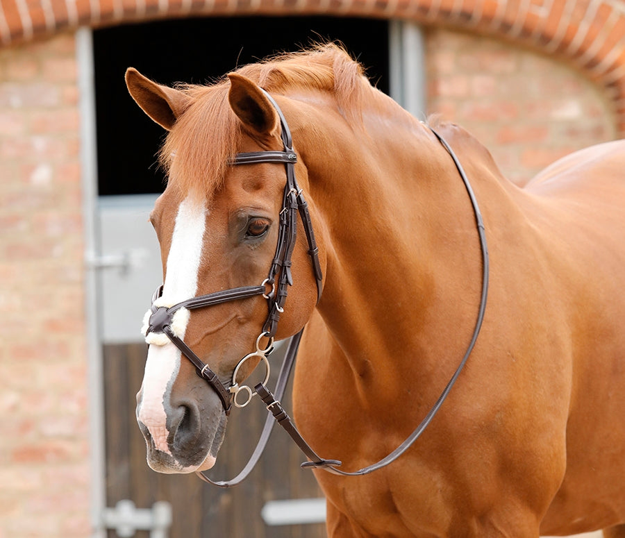 Premier Equine Stefano Rubber Reins