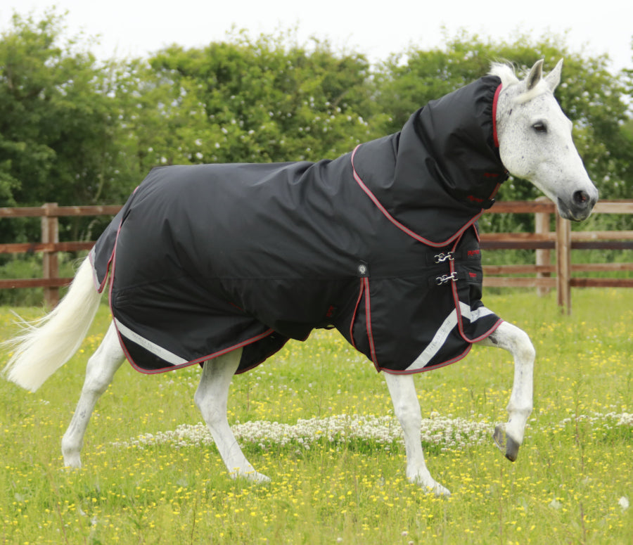 Premier Equine Titan 100g Turnout Rug with Snug Fit Neck Cover
