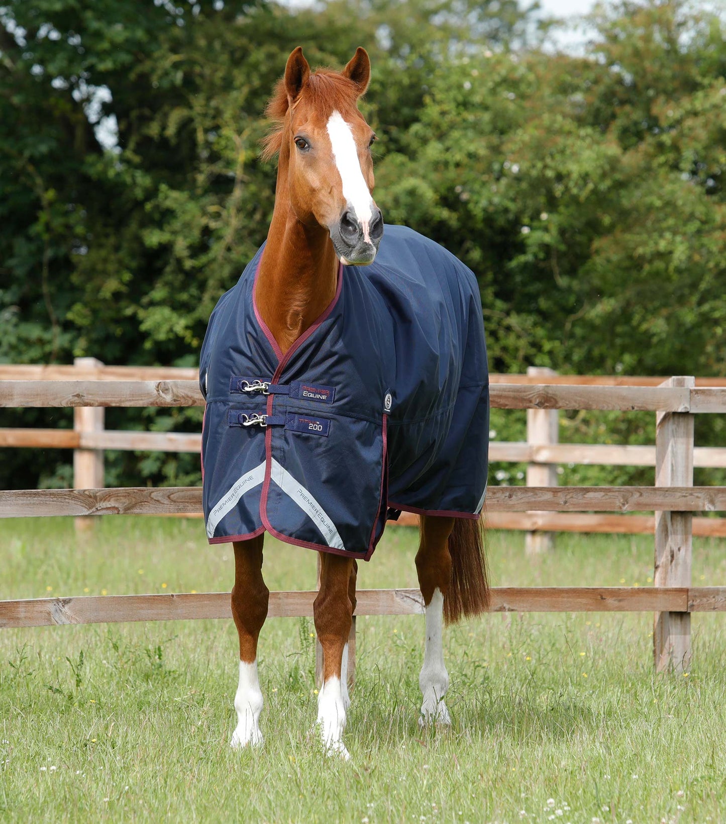 Premier Equine Titan 200g Original Turnout Rug (No neck rug)