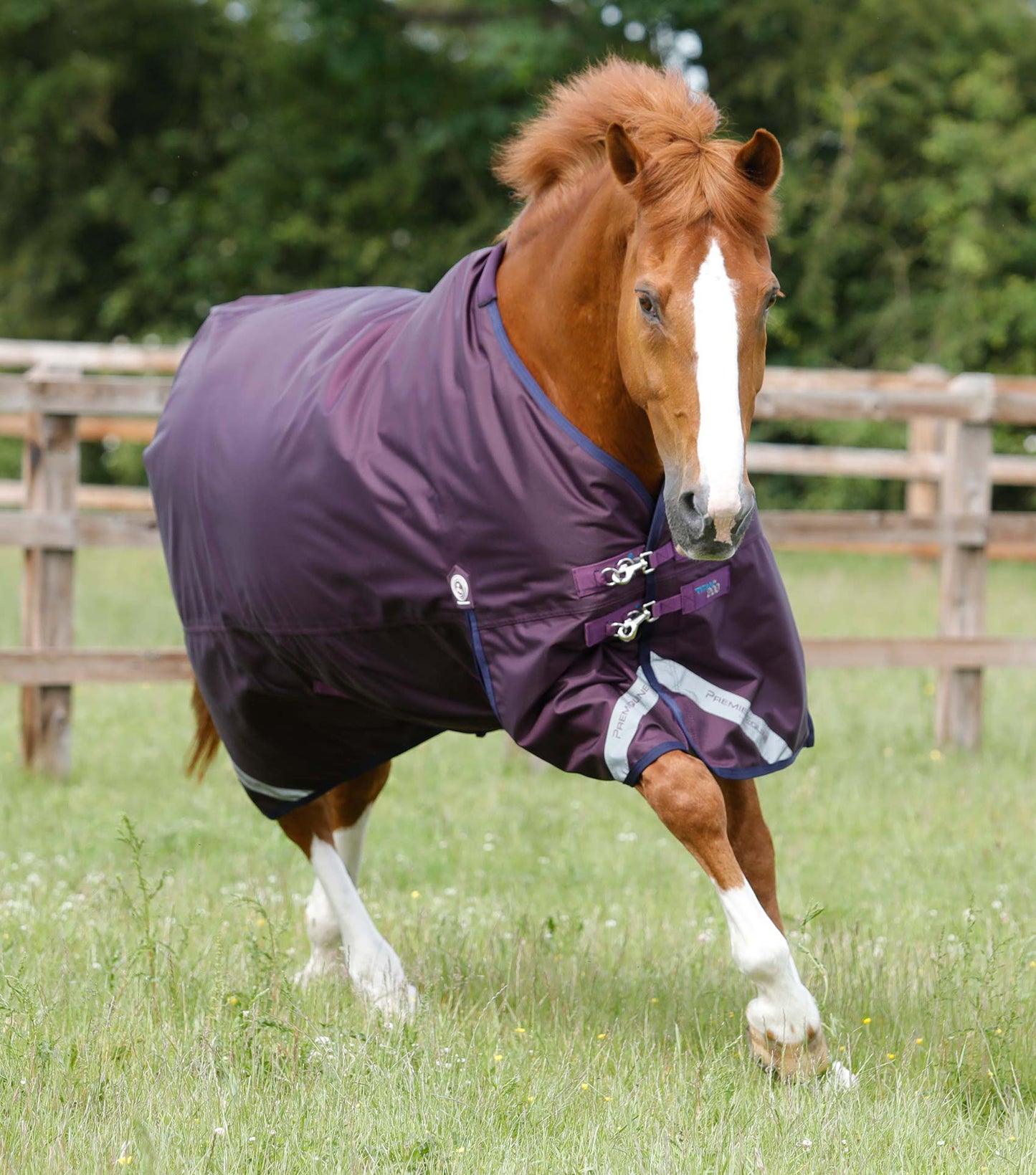 Premier Equine Titan 200g Original Turnout Rug (No neck rug)