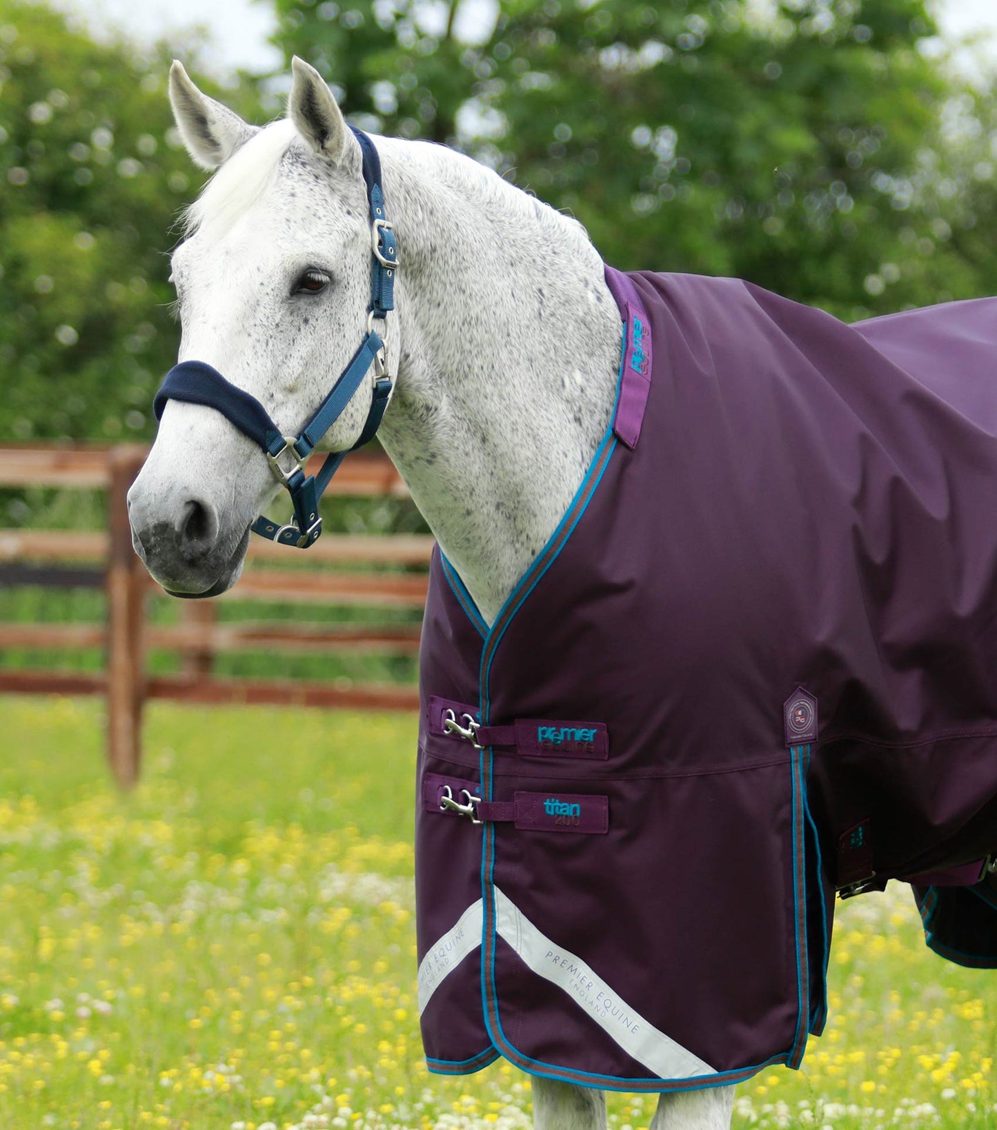 Premier Equine Titan 200g Turnout Rug with Snug Fit Neck Cover