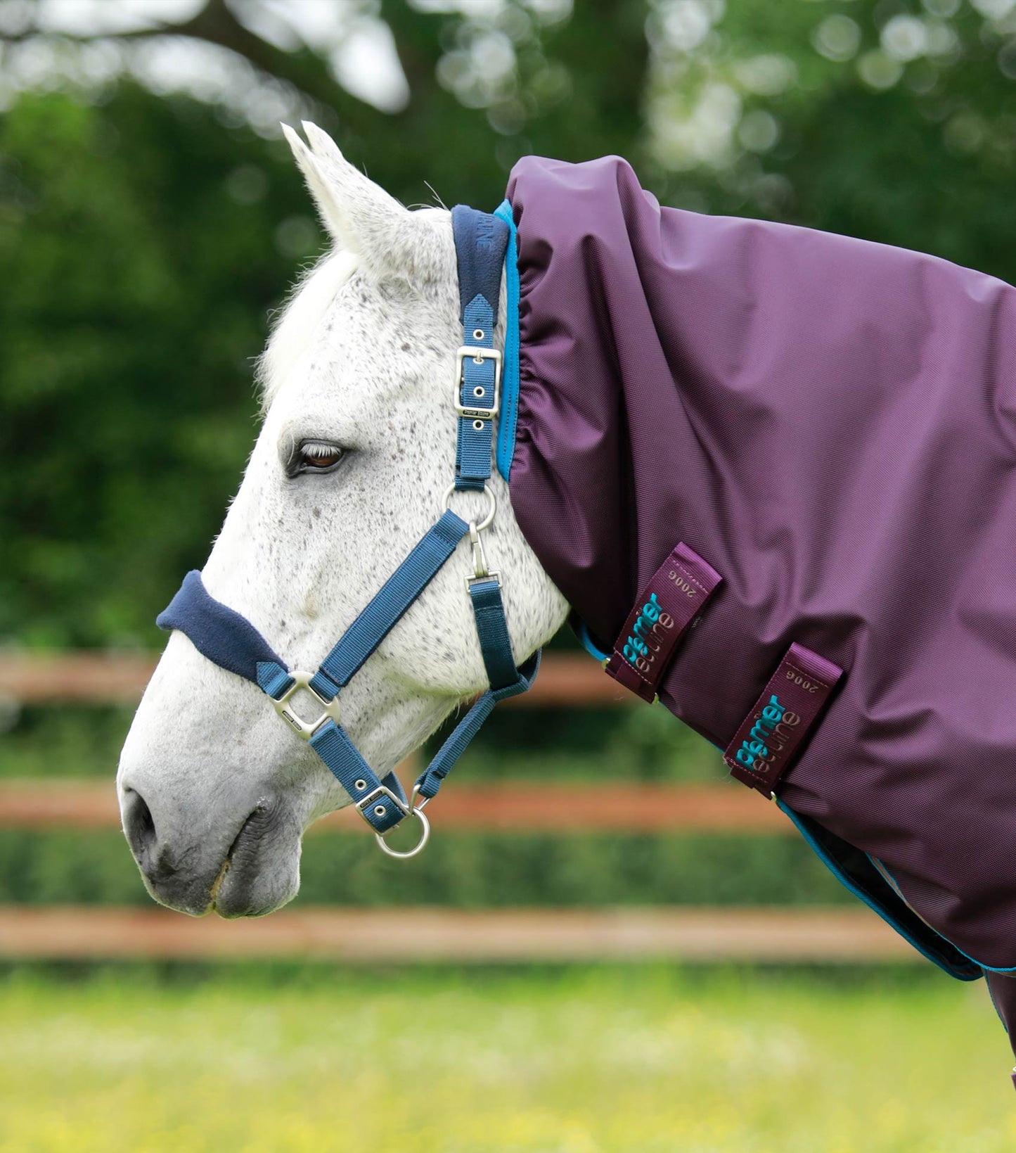 Premier Equine Titan 200g Turnout Rug with Snug Fit Neck Cover