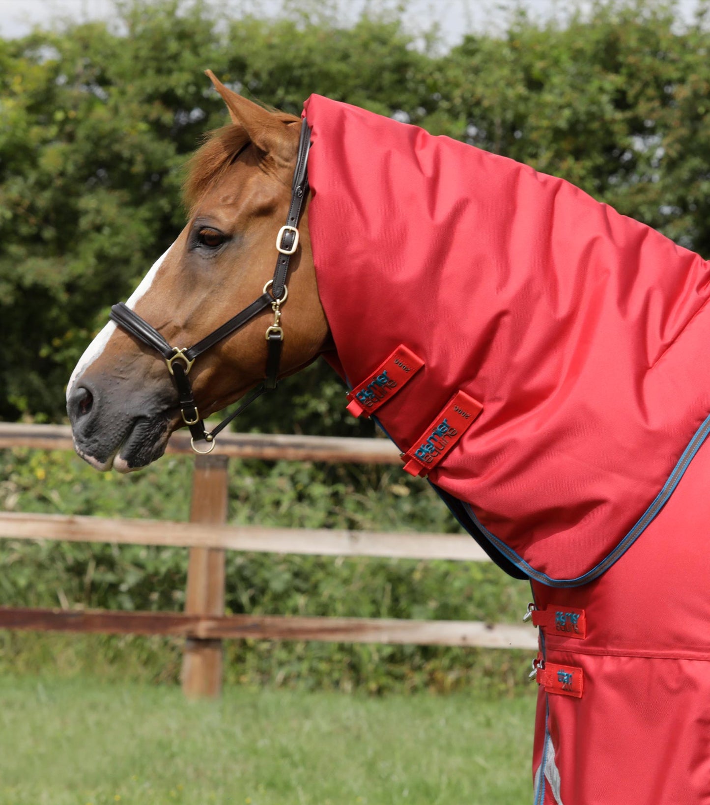 Premier Equine Titan 200g Turnout Rug with Snug Fit Neck Cover