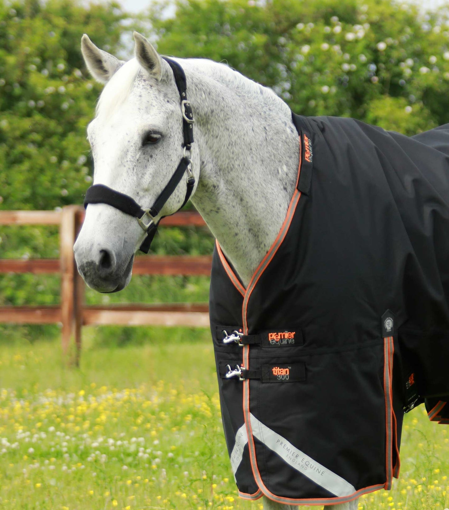Premier Equine Titan 300g Turnout Rug with Snug Fit Neck Cover