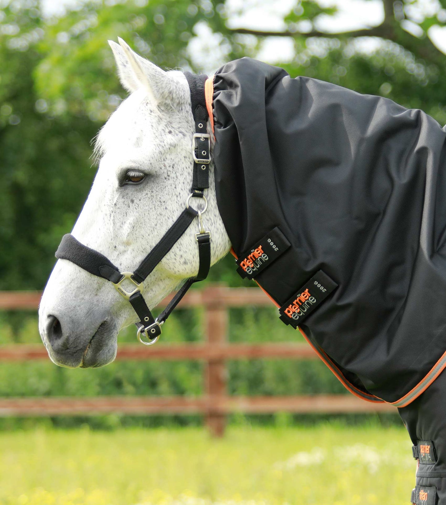Premier Equine Titan 300g Turnout Rug with Snug Fit Neck Cover