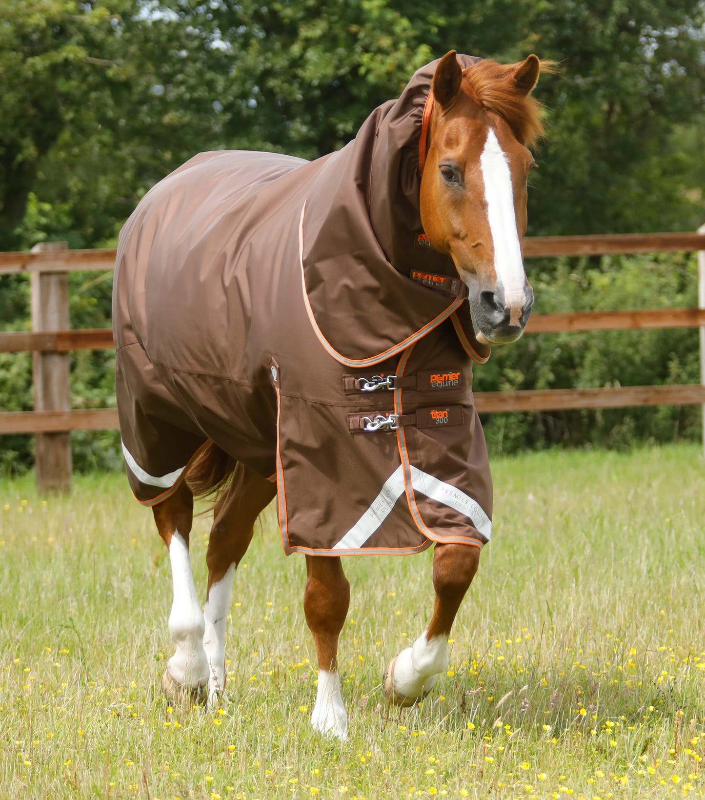 Premier Equine Titan 300g Turnout Rug with Snug Fit Neck Cover
