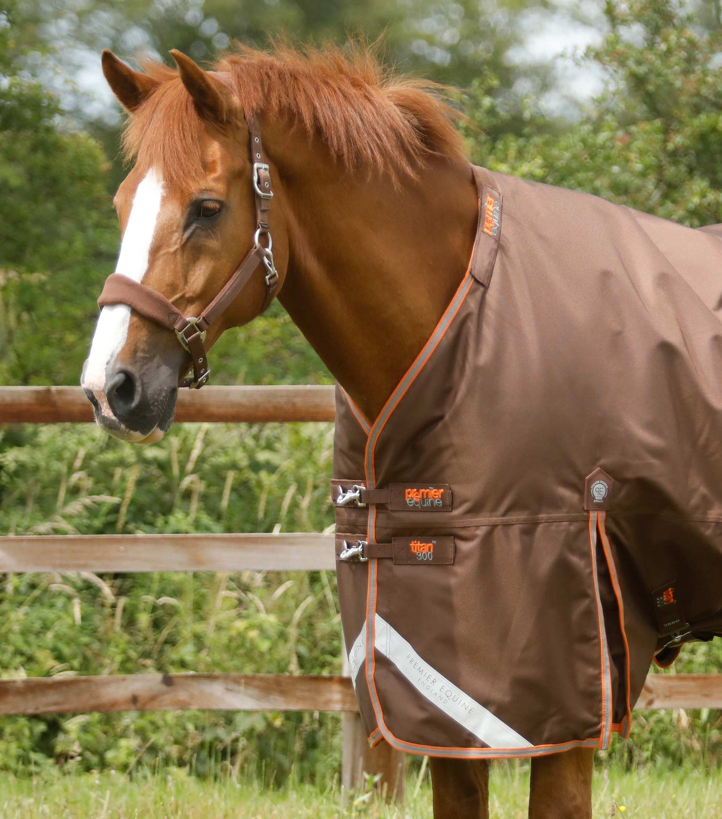 Premier Equine Titan 300g Turnout Rug with Snug Fit Neck Cover