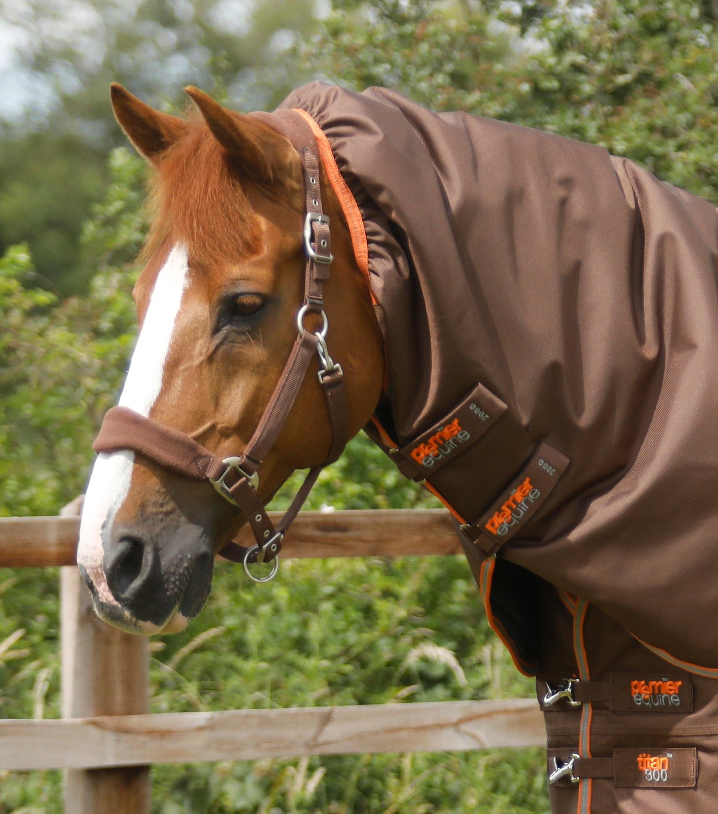 Premier Equine Titan 300g Turnout Rug with Snug Fit Neck Cover
