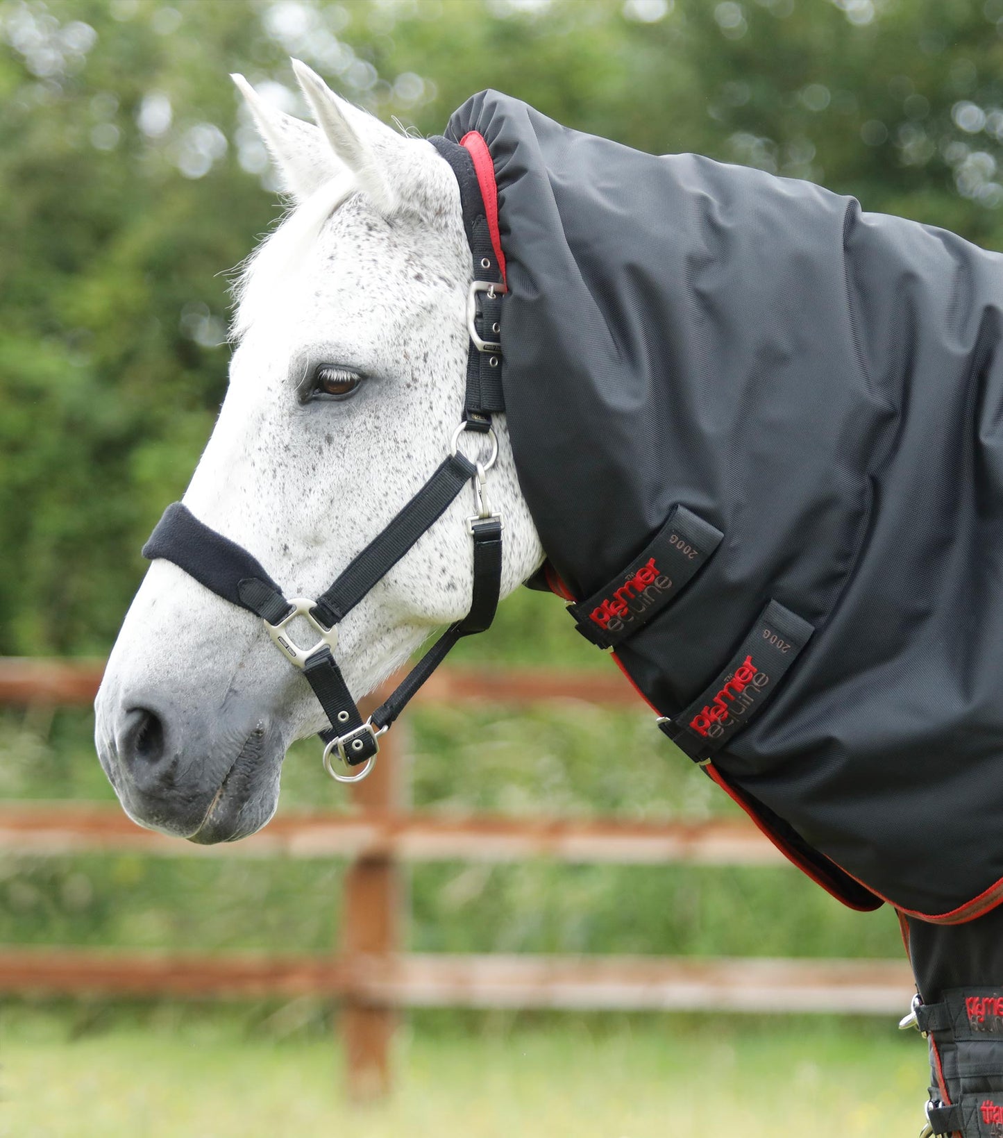 Premier Equine Titan 450g Turnout Rug with Snug fit detachable Neck Cover