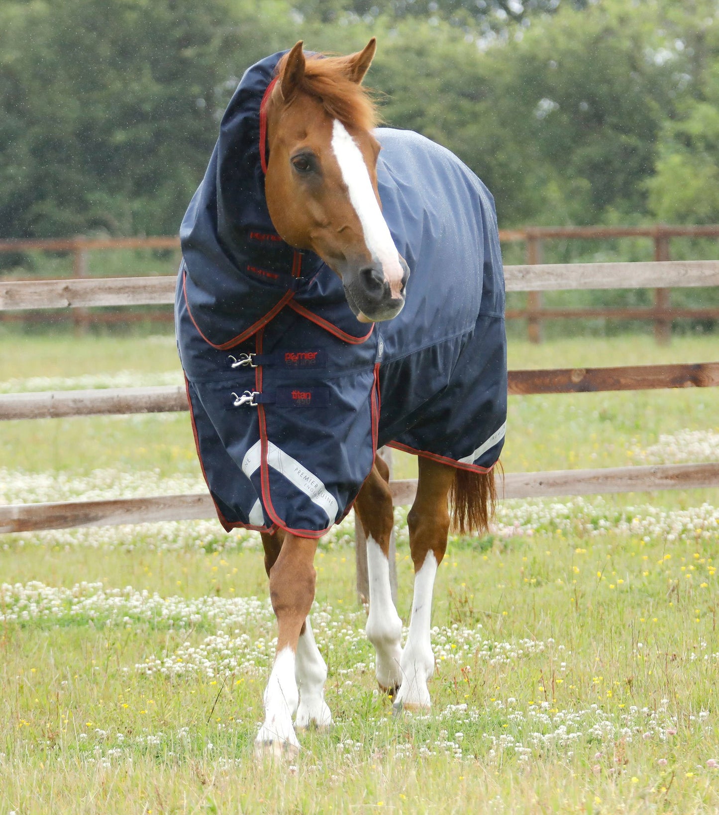 Premier Equine Titan 450g Turnout Rug with Snug fit detachable Neck Cover