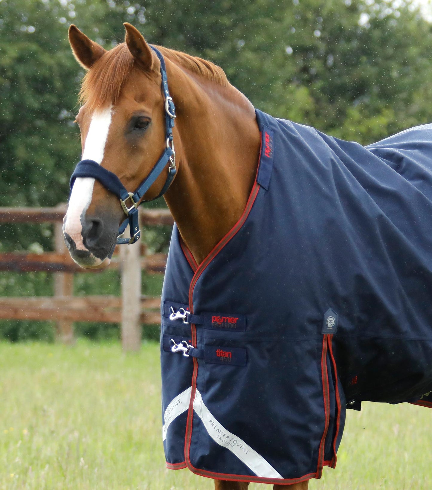 Premier Equine Titan 450g Turnout Rug with Snug fit detachable Neck Cover