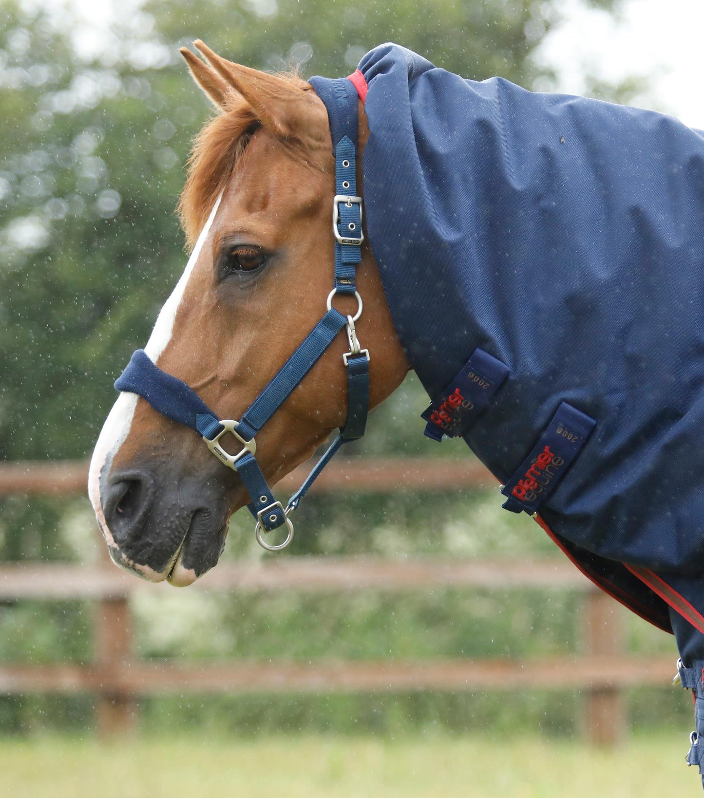 Premier Equine Titan 450g Turnout Rug with Snug fit detachable Neck Cover
