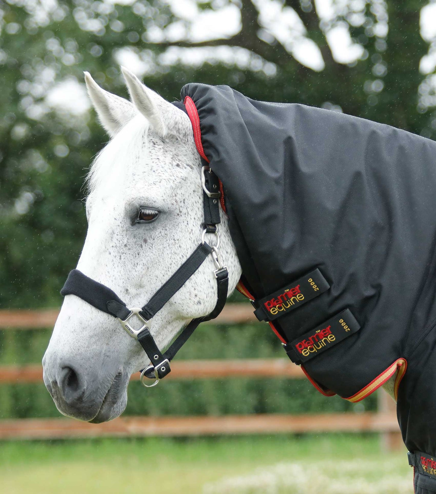 Premier Equine Titan Storm 450g Combo Turnout Rug