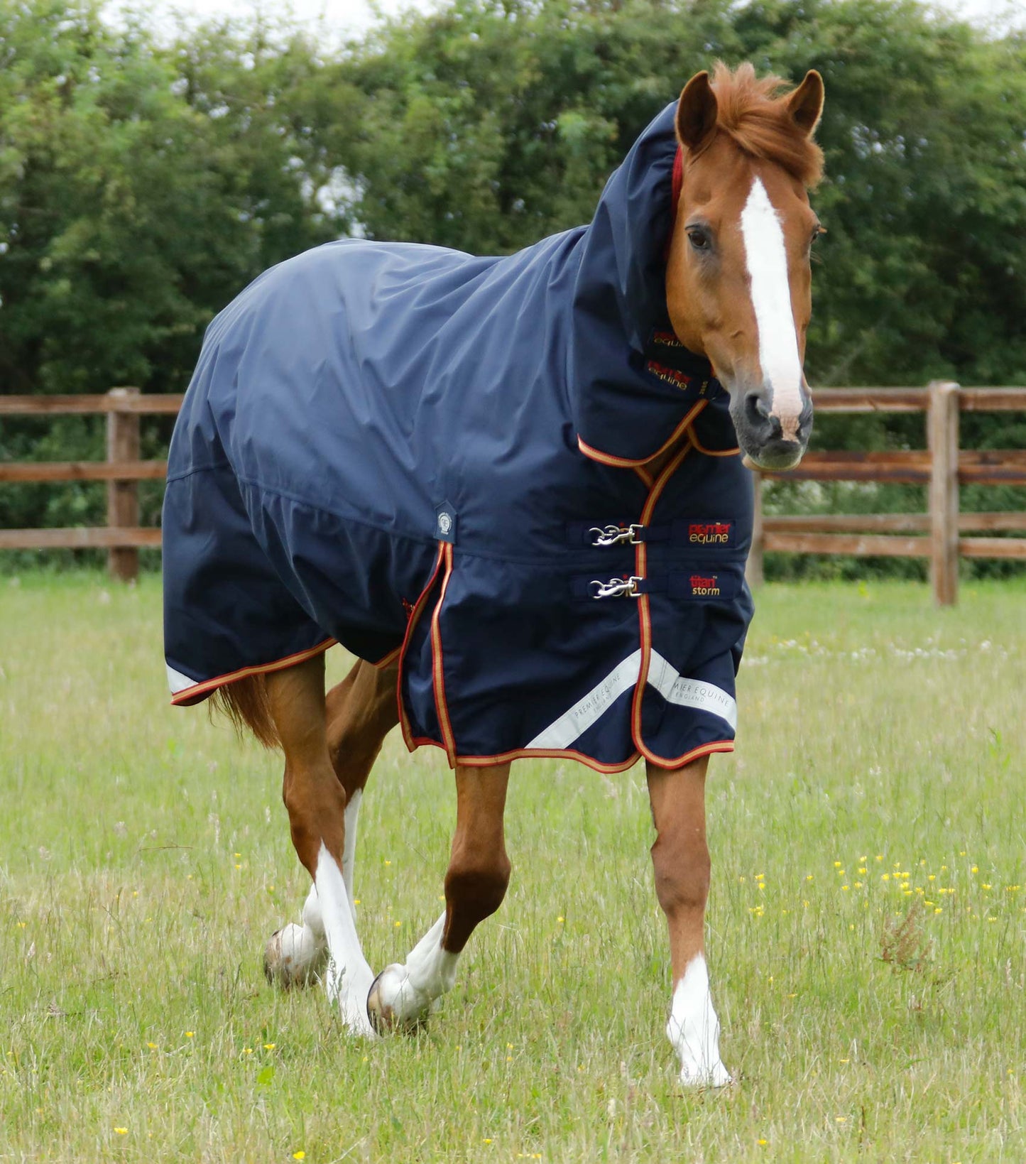 Premier Equine Titan Storm 450g Combo Turnout Rug