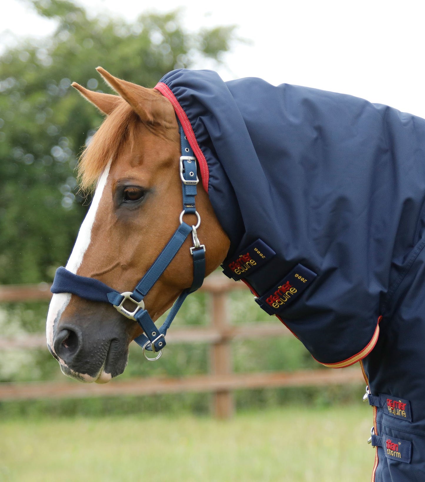 Premier Equine Titan Storm 450g Combo Turnout Rug