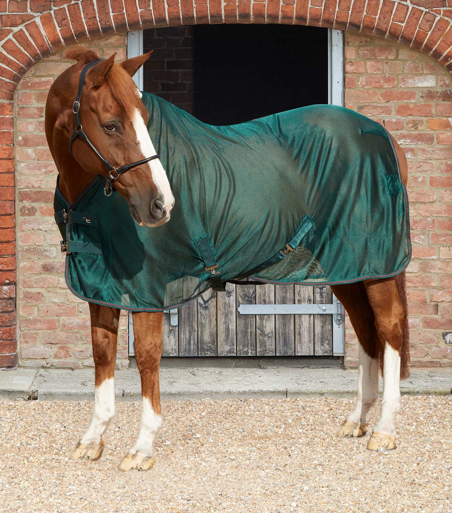 Premier Equine Ventoso Mesh Cooler