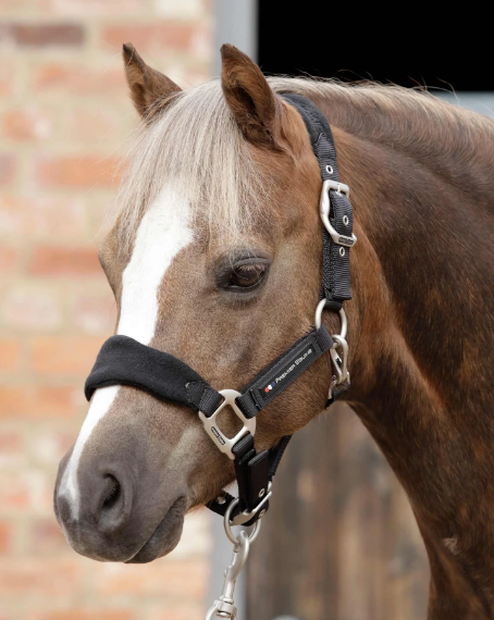 Premier Equine Fleece Padded Horse Head Collar / halter