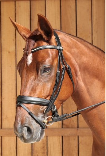 Neue Schule Tranz Angled Lozenge Baucher bit - Robyn's Tack Room