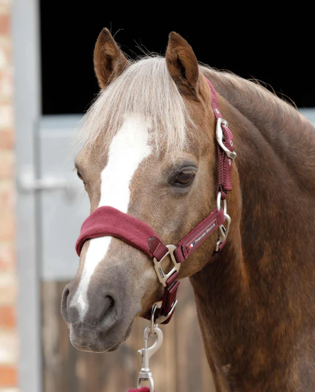 Premier Equine Fleece Padded Horse Head Collar / halter