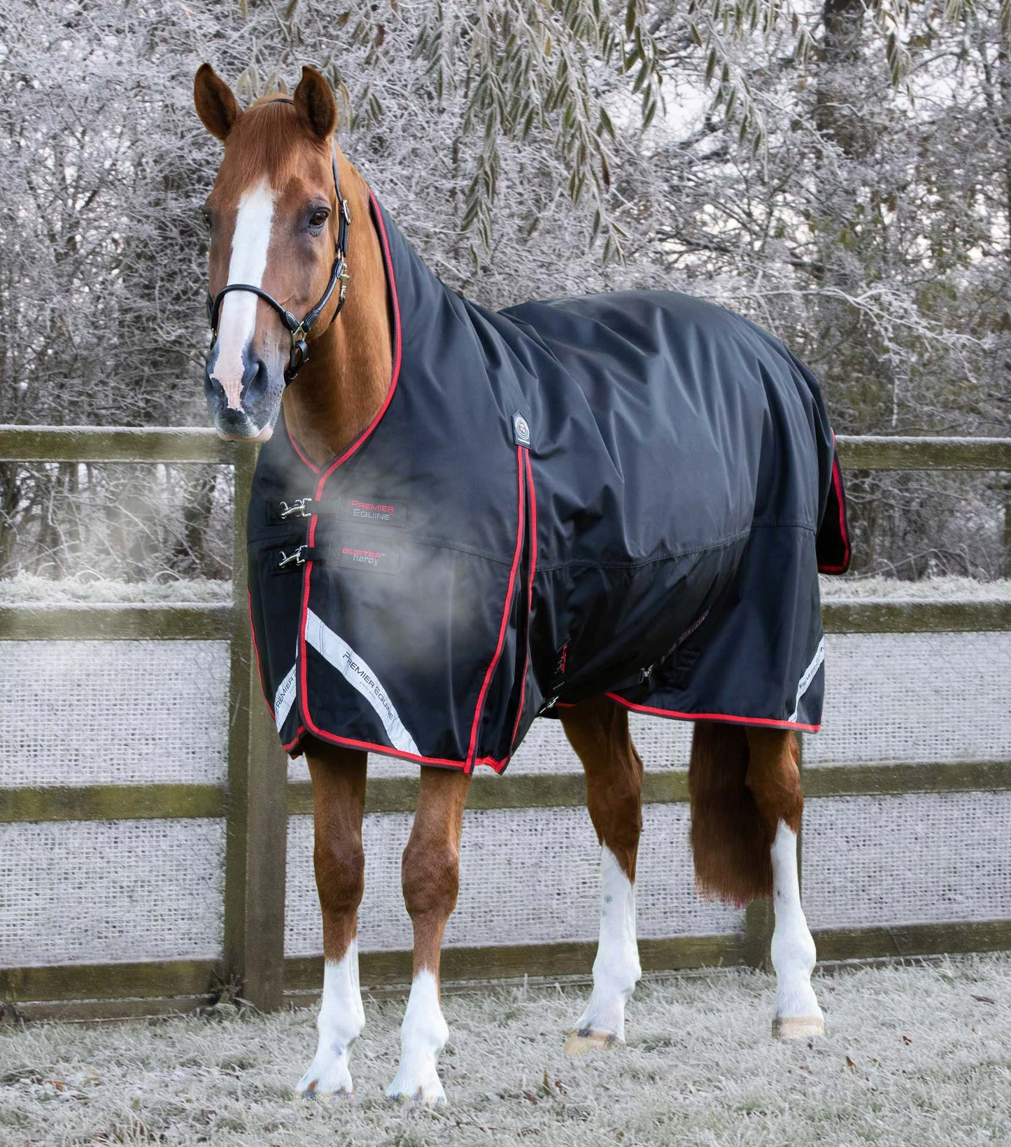 Premier Equine Buster Hardy 400g Half Neck Turnout Rug