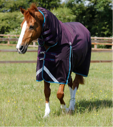 Premier Equine Buster Storm 100g Combo Turnout Rug