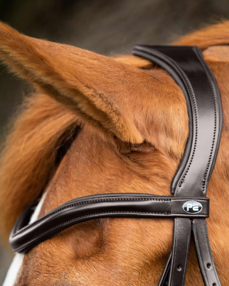 Premier Equine Glorioso Grackle Bridle