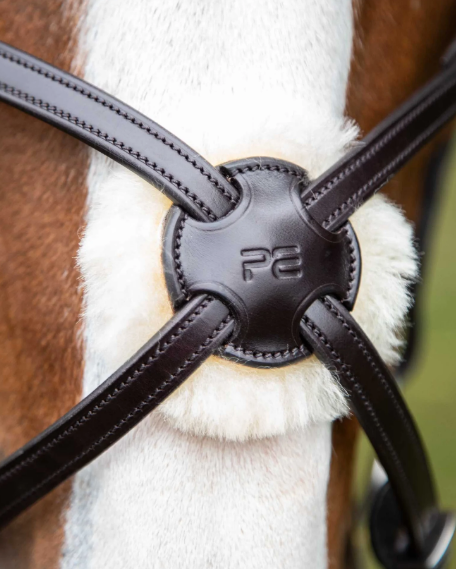 Premier Equine Glorioso Grackle Bridle
