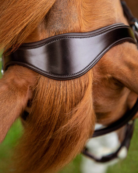 Premier Equine Glorioso Grackle Bridle