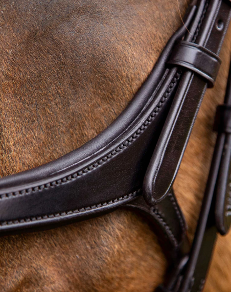 Premier Equine Glorioso Grackle Bridle