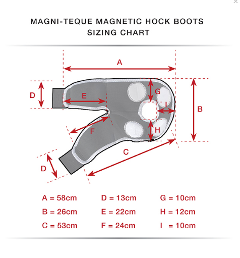 Premier Equine Magni-Teque Magnetic Hock Boots - Robyn's Tack Room