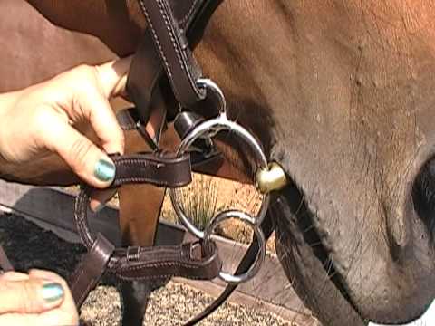 Neue Schule Tranz Angled Lozenge Universal bit - Robyn's Tack Room