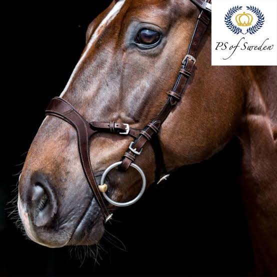 PS of Sweden brown Nirak bridle full size (size 2) Brand new! - Robyn's Tack Room