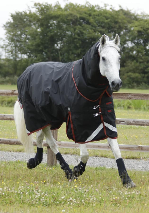 Premier Equine Turnout / Mud Fever Boots - Robyn's Tack Room