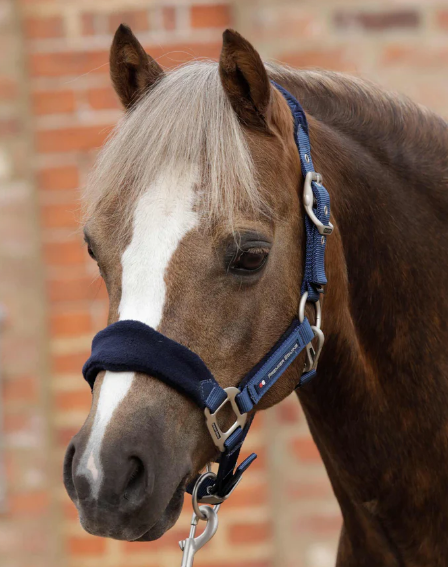 Premier Equine Fleece Padded Horse Head Collar / halter