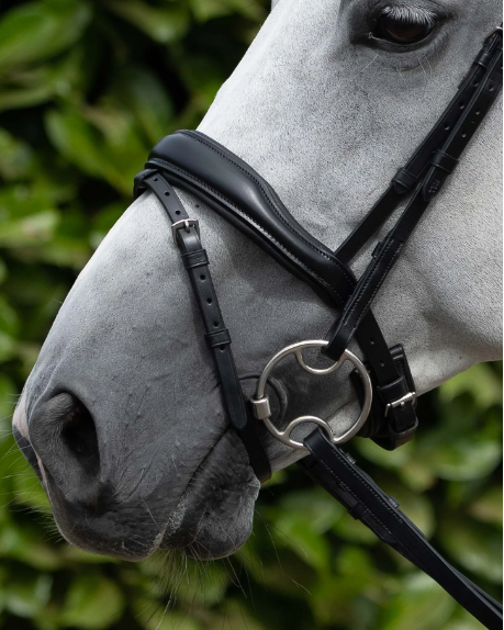 Premier Equine Blue Sweet Iron Bevel Bit with Brass Alloy Lozenge