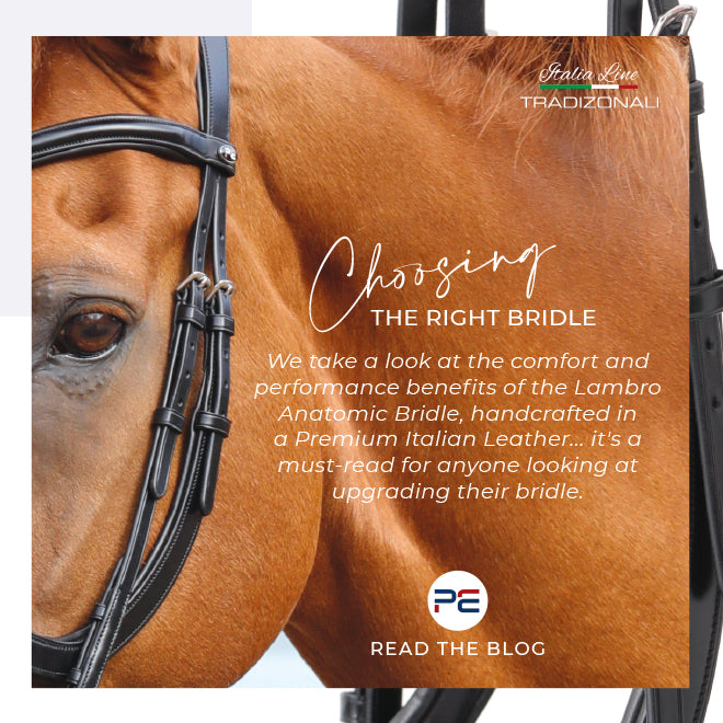How to choose the right bridle