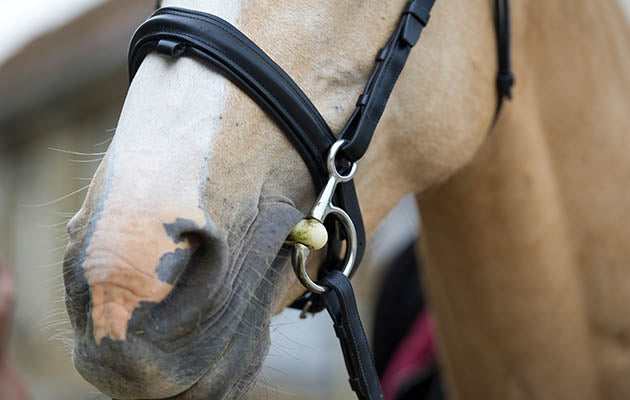 Does a Baucher / Hanging Cheek / Drop Cheek snaffle have poll pressure?