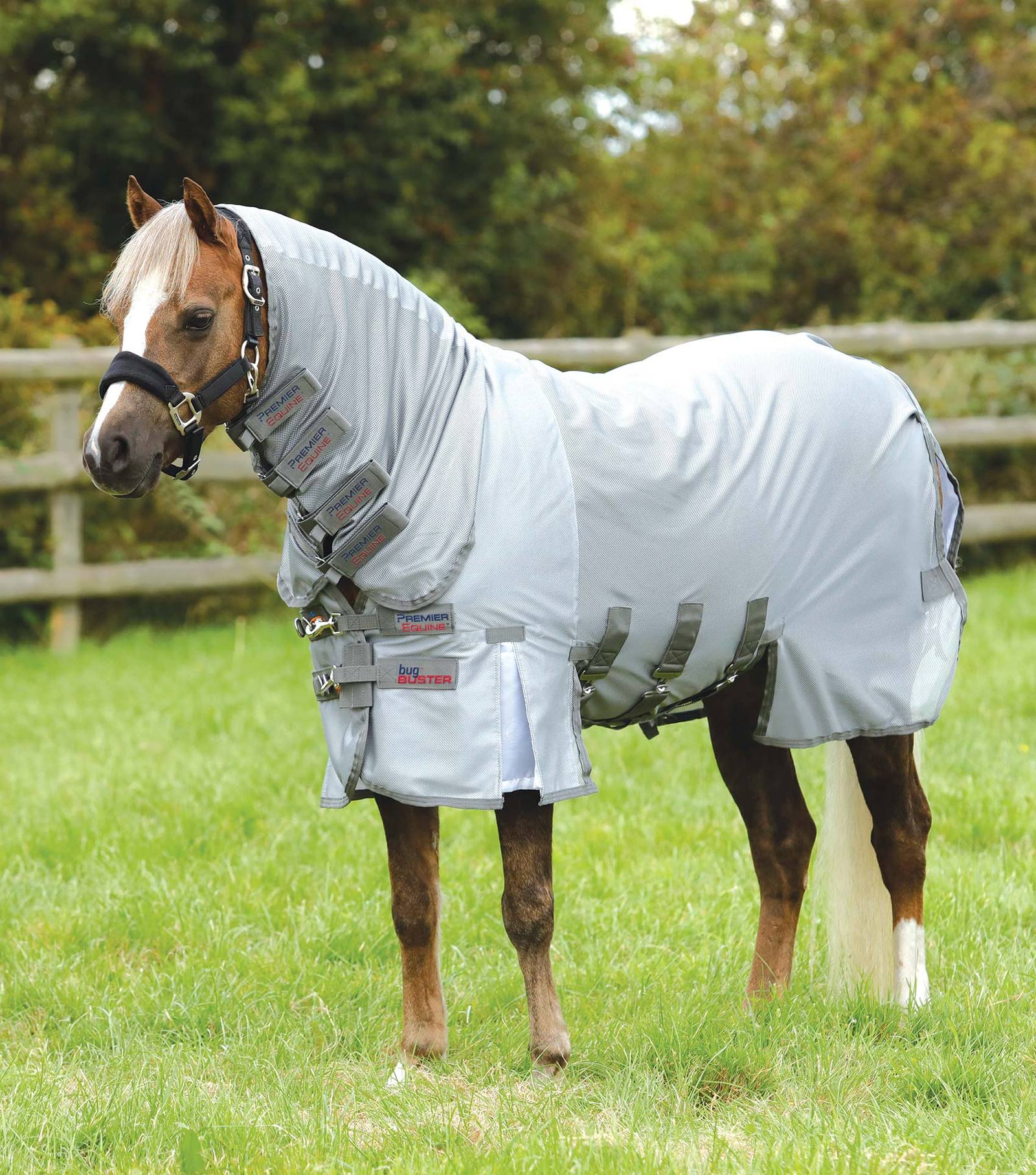 Mesh Fly Rugs – ROBYN'S TACK ROOM