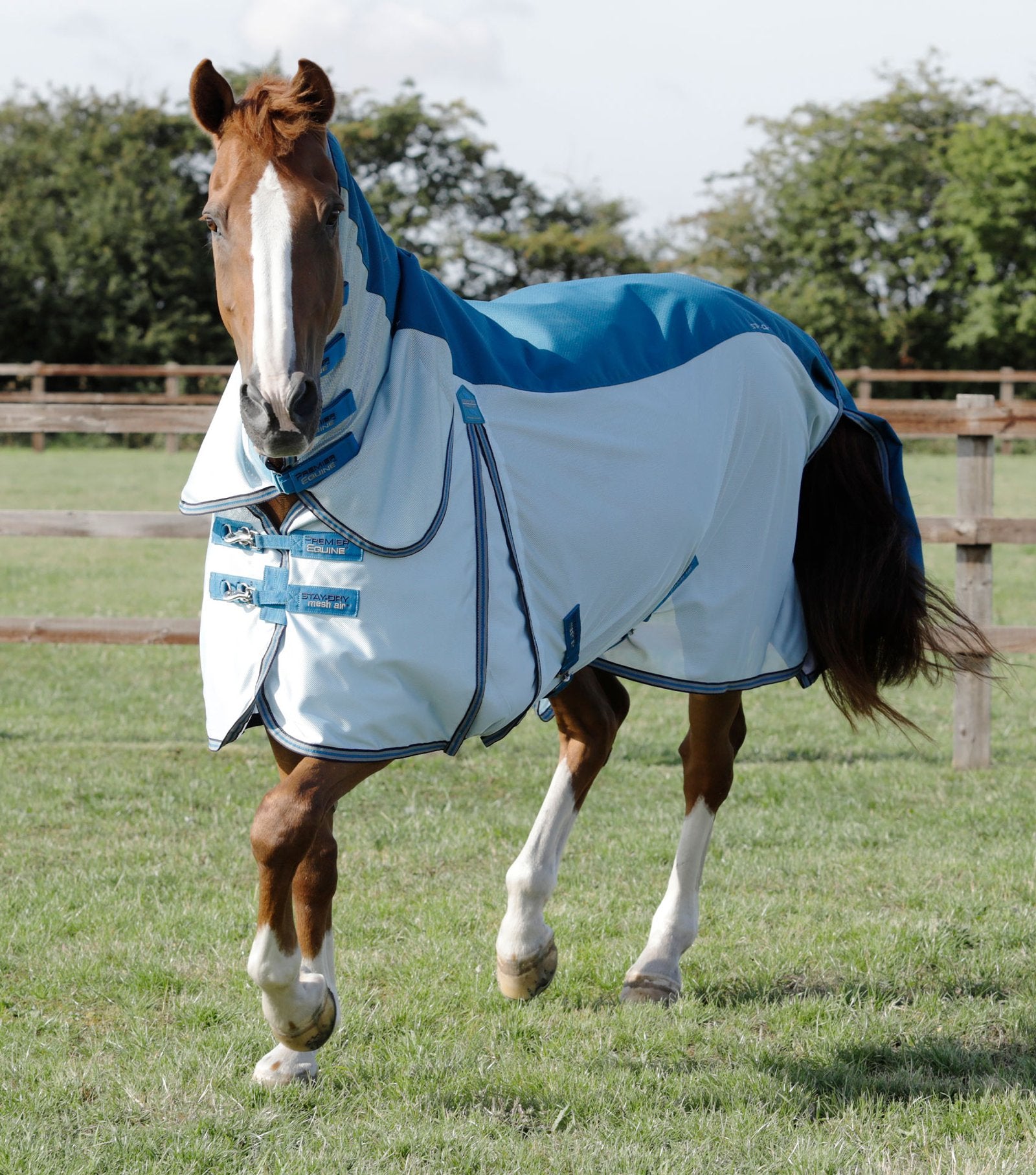 Waterproof mesh combo rugs – ROBYN'S TACK ROOM