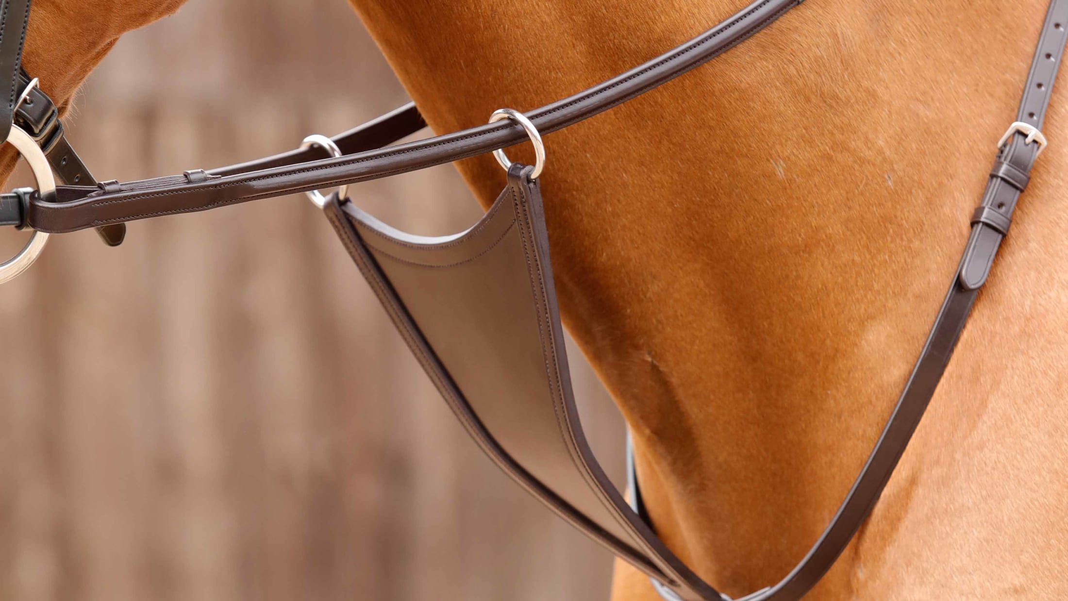 Martingale pour cheval anneaux debout BR Equitation Hinckly | La sellerie de Maé
