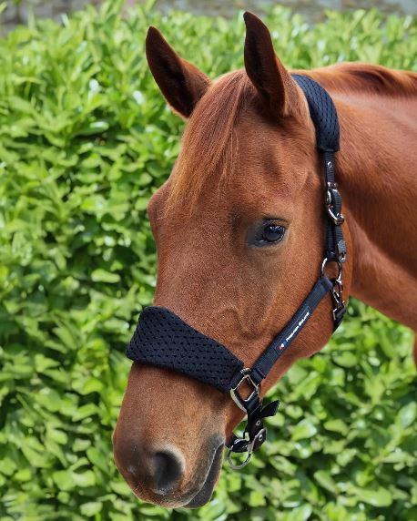 Premier Equine Necto 3D Mesh Padded Halter / Head Collar with Lead Rope