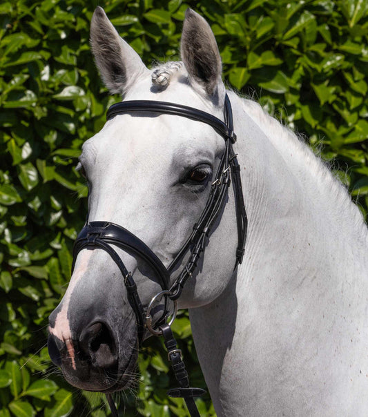 Premier Equine Artana Snaffle Bridle (Black)