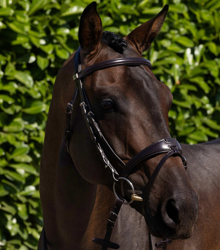 Premier Equine Artana Snaffle Bridle (Black)