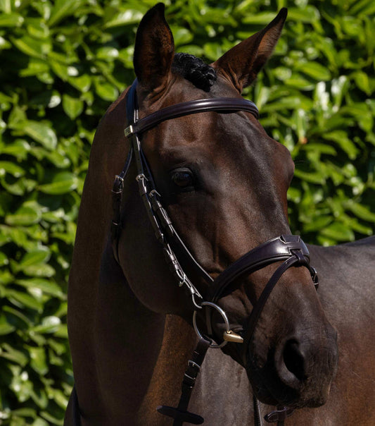 Premier Equine Artana Snaffle Bridle (Brown)