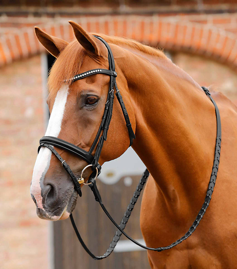 Premier Equine Bellissima Shaped Diamante Browband